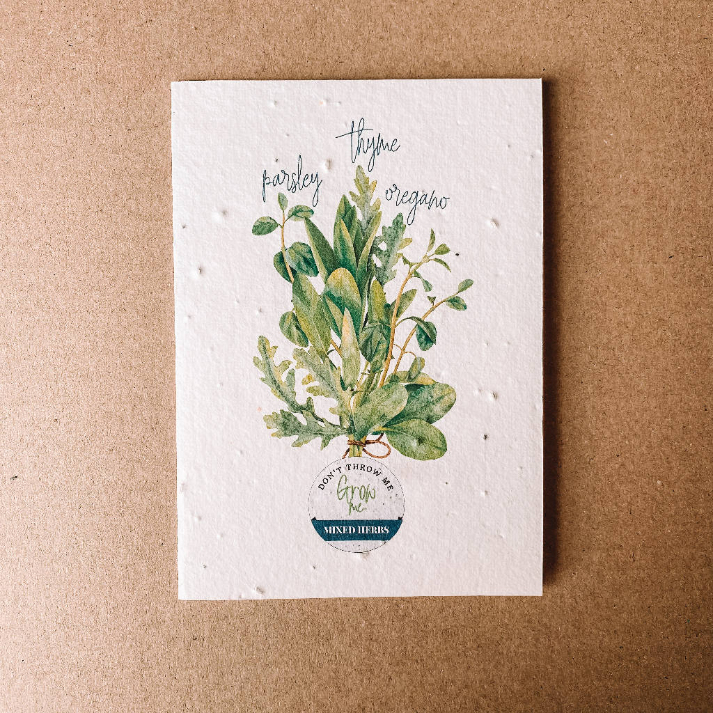 BLANK HERBS|Plantable Card That Grows Into Oregano, Parsley & Thyme
