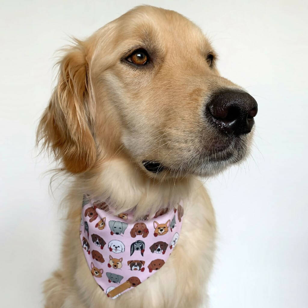 Pups & Roses - Romantic Dog Bandana