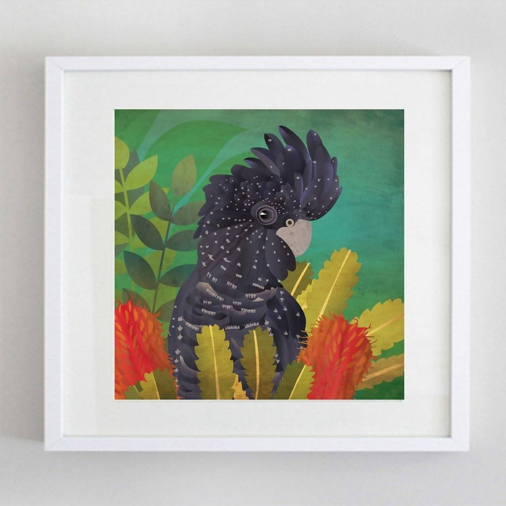 Curious Black Cockatoo - Limited Edition Fine Art Print