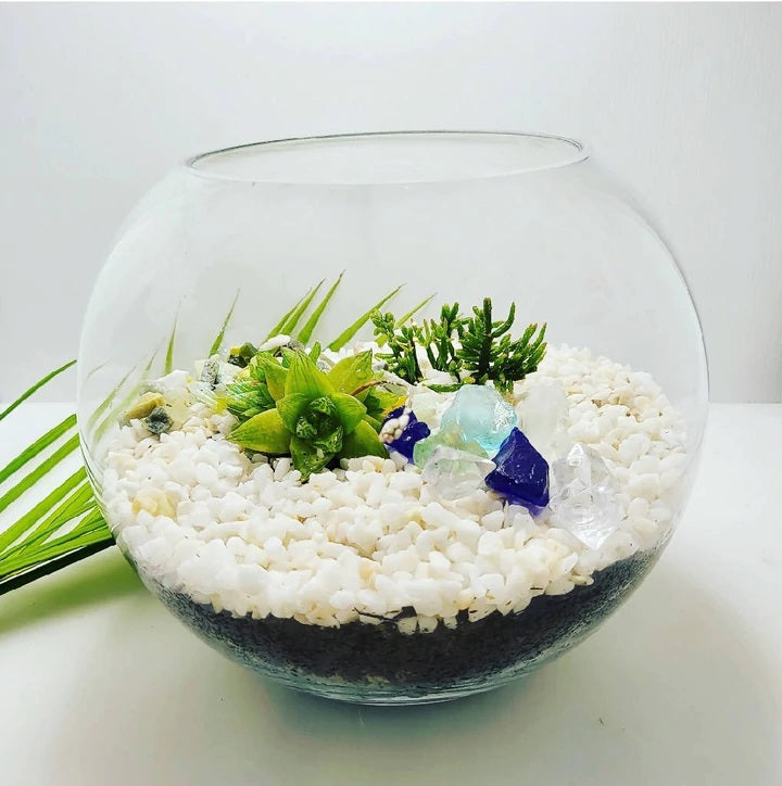 Which Of These Three Terrarium Types Is Right For You?