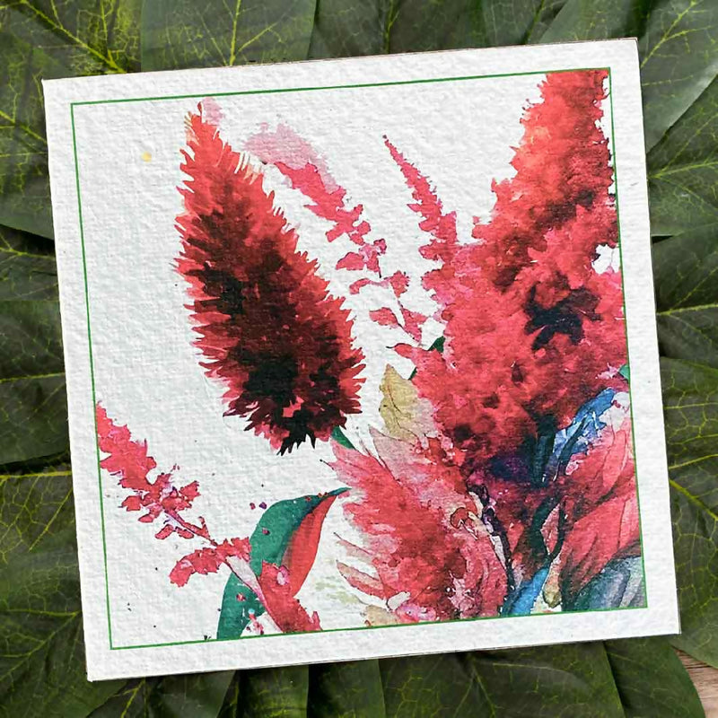 BOTTLEBRUSH BEAUTY Plantacard|Plantable Card That Grows Into Lemon-scented Bottlebrush