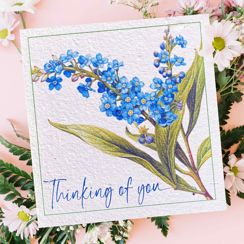 THINKING OF YOU Plantacard|Plantable Card That Grows Into Forget-me-nots