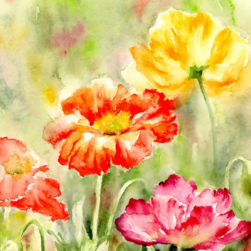 Poppies, prints, Watercolor print, Watercolor flowers, Botanical print, Watercolour painting, floral art