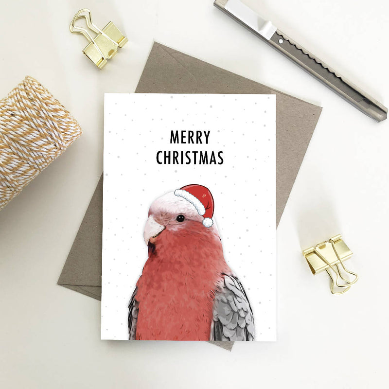 Australian Wildlife Bird Christmas Cards