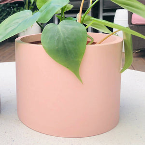 Concrete plant pot - plain colour