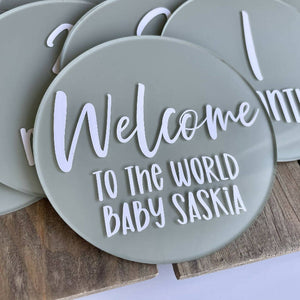 First Year Baby Milestones Discs