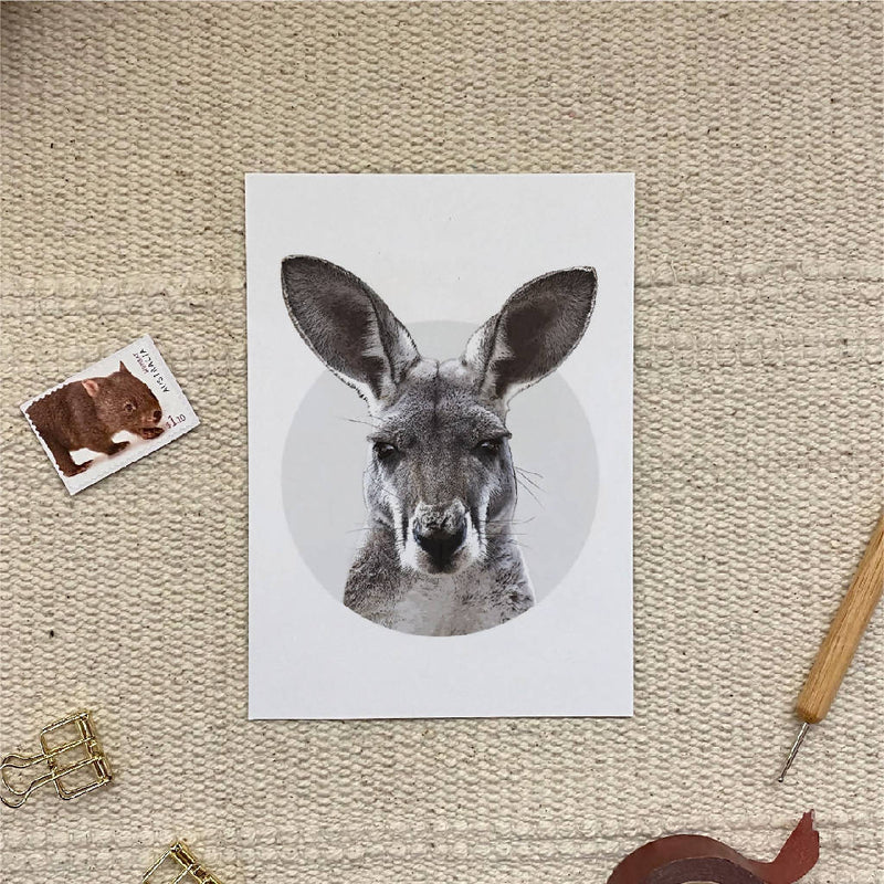 Australian wildlife Animal Postcards