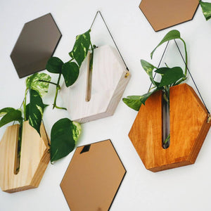 Honeycomb wall planter / Propagation station