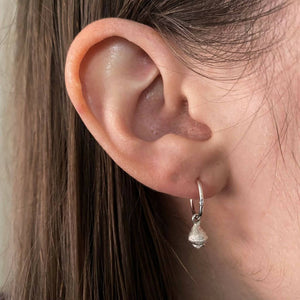 Coastal Tea Tree and Red River Gum Earrings