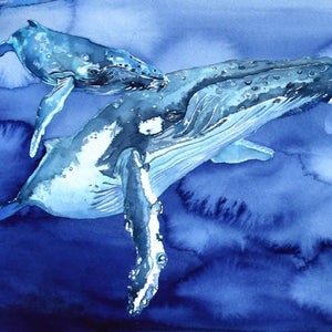 Whispering Whales FINE ART PRINT