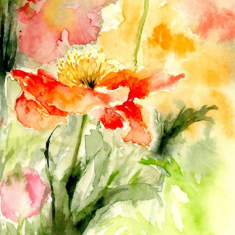 Poppies, prints, Watercolor print, Watercolor flowers, Botanical print, Watercolour painting, floral art