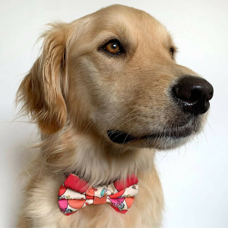 I Heart You - Dog Bow Tie