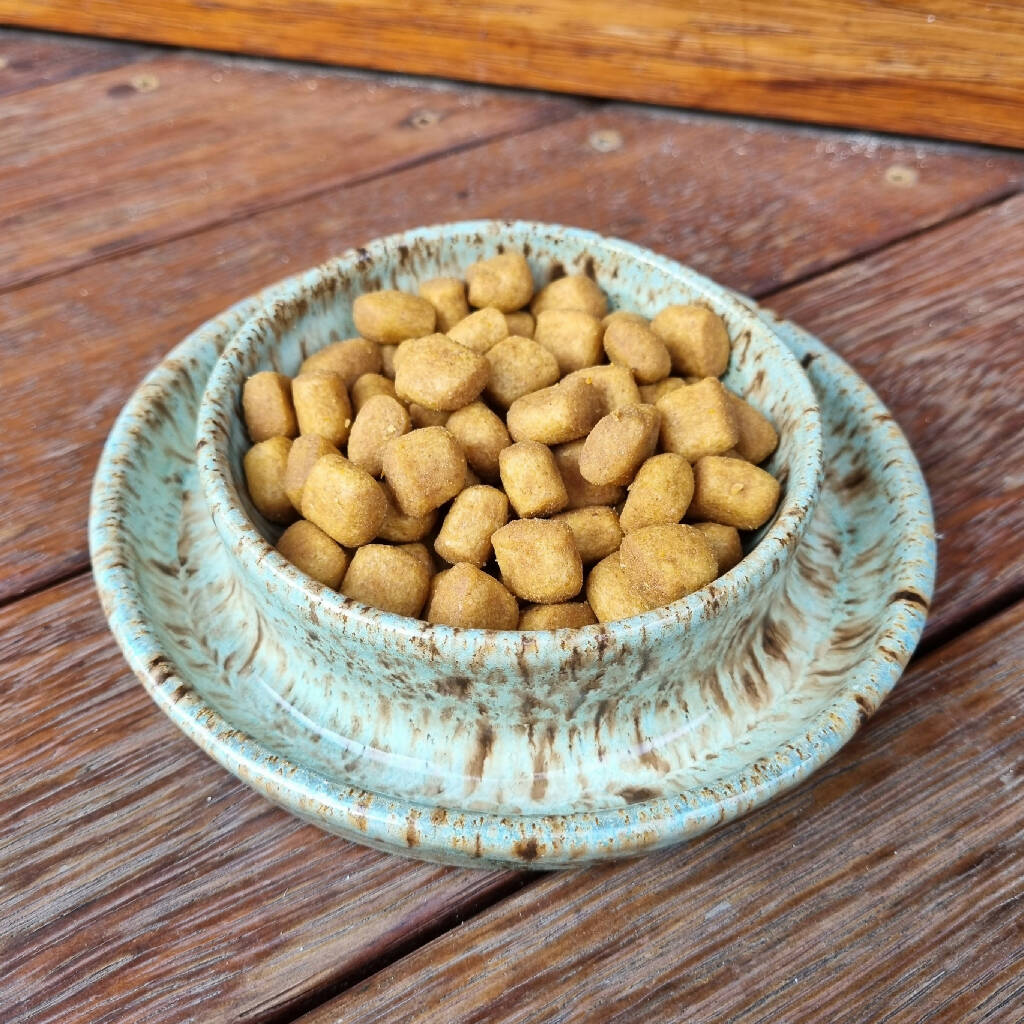 Handmade Small Pet Bowl - Double Walled Design