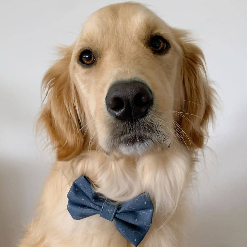 Winter Fields Dog Bow Tie