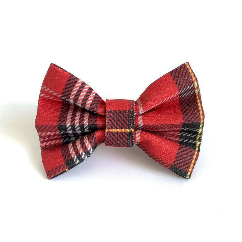 Red My Mind - Dog Bow Tie