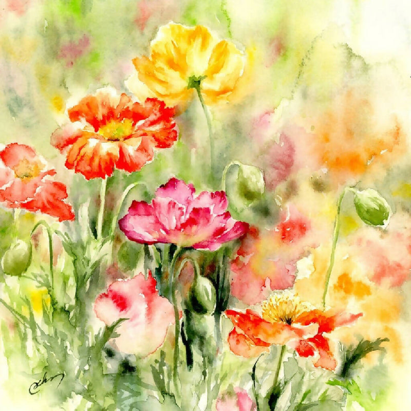 Poppies, prints, Watercolor print, Watercolor flowers, Botanical print, Watercolour painting, floral art