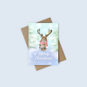 Bunny Christmas Cards (Pack of 3)