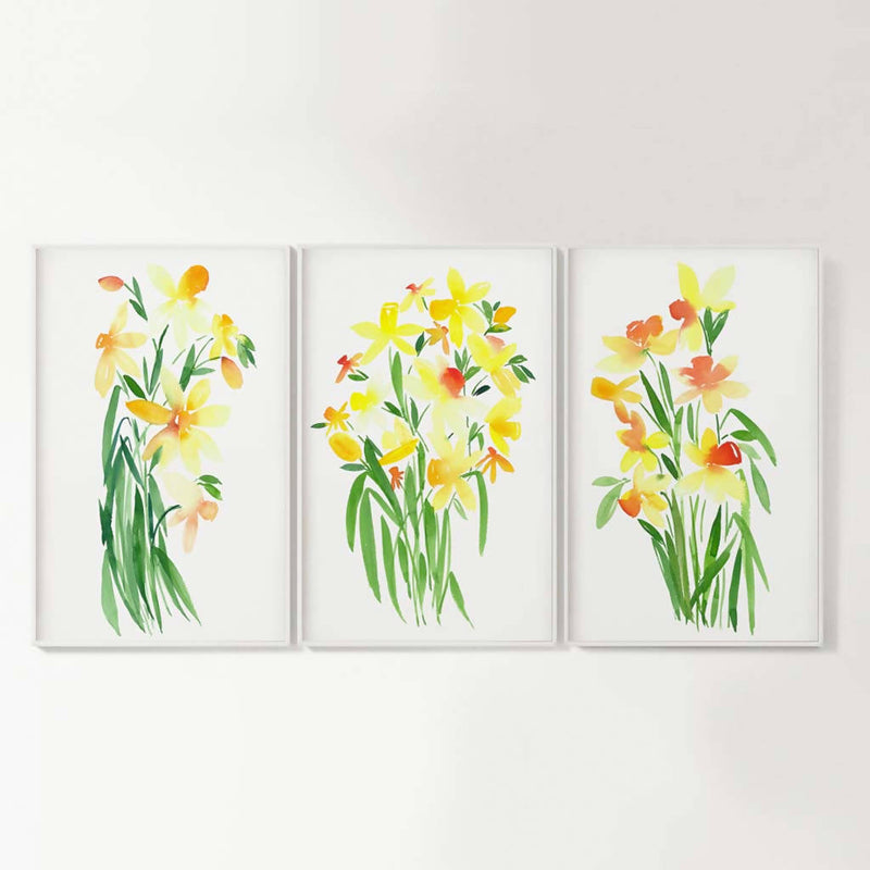 Set Of 3 Daffodils Prints