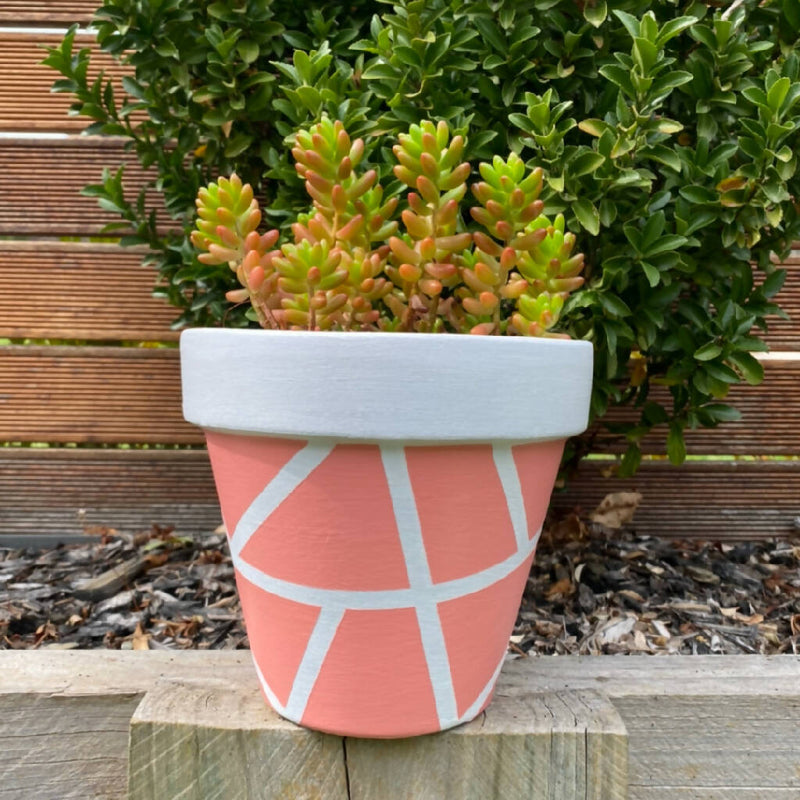 Hand Painted Terracotta Garden Pots 17cm x 17cm