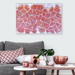 Framed Abstract Art Pink Salt Formations