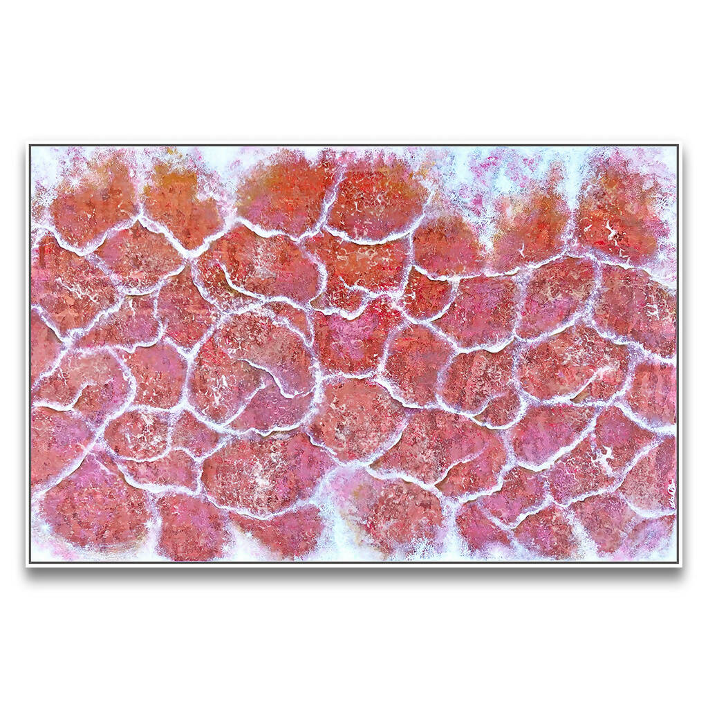 Framed Abstract Art Pink Salt Formations