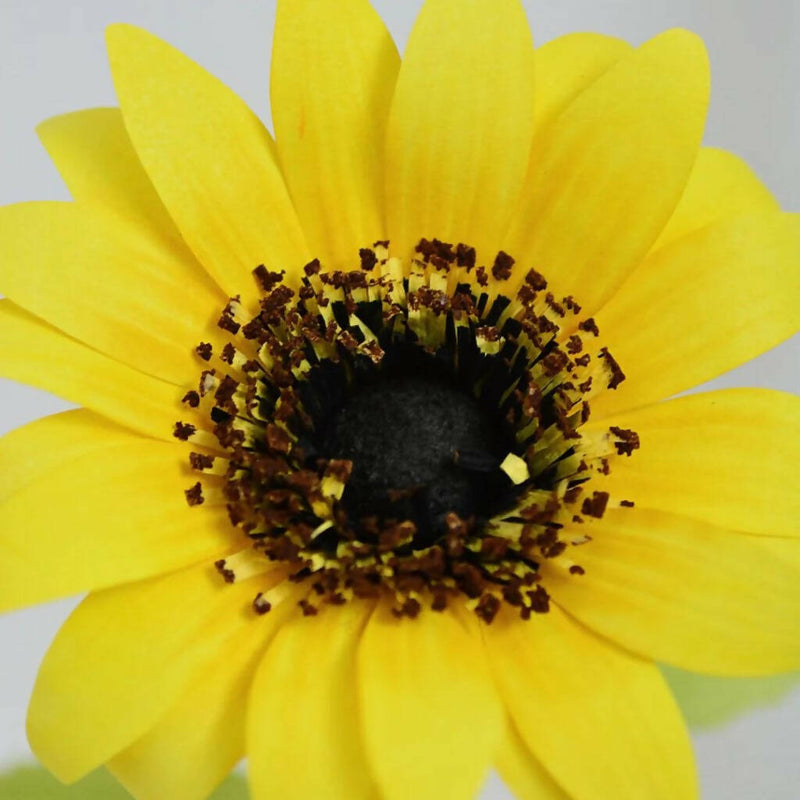 Paper Sunflower Pot Plant