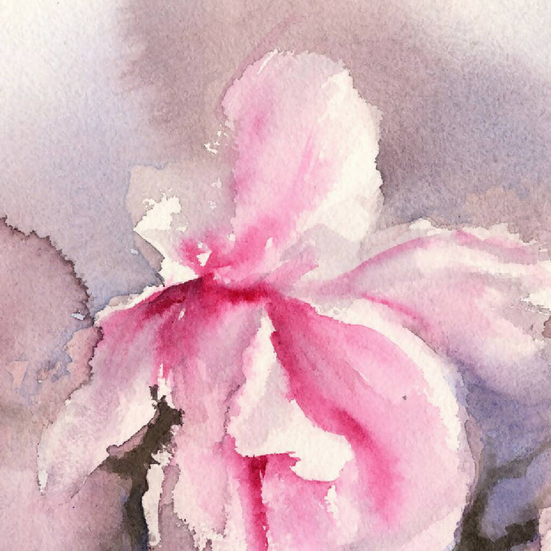 Pink magnolias , watercolour print, Watercolor flowers, Botanical print, Watercolour painting, floral art