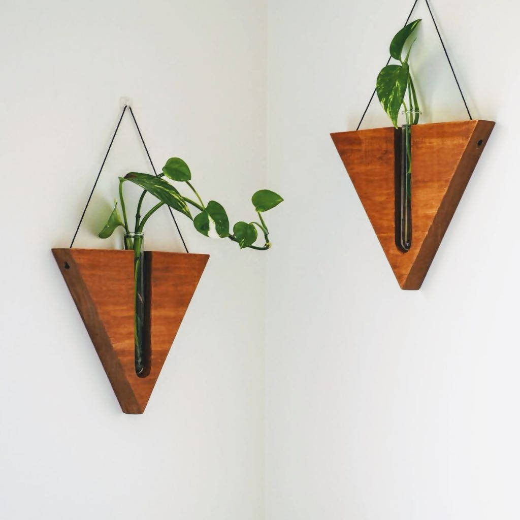Triangular wall planter / Propagation station