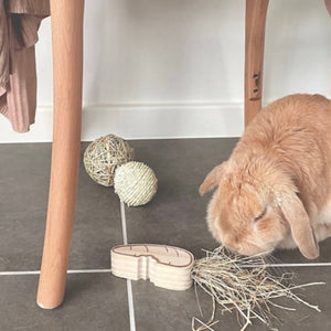 Wooden Carrot Chew, Rabbit Hay And Treat Holder