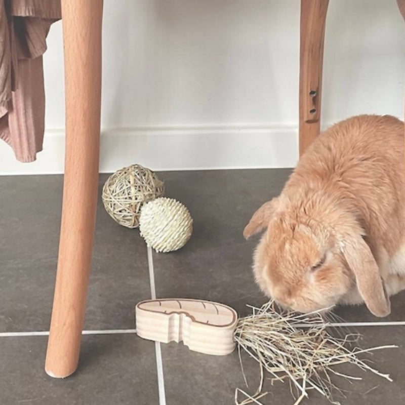 Wooden Carrot Chew, Rabbit Hay And Treat Holder