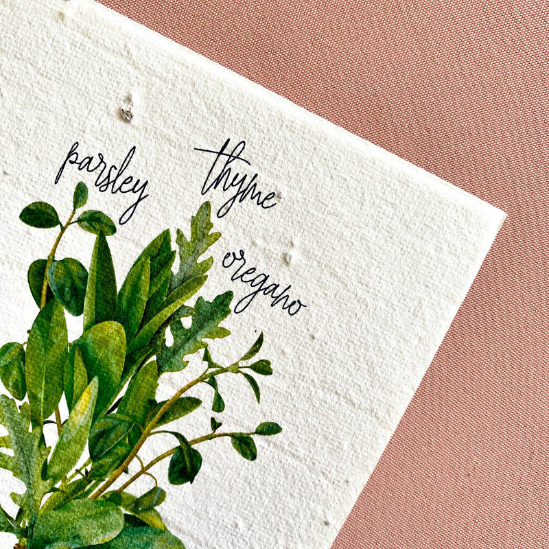 BLANK HERBS|Plantable Card That Grows Into Oregano, Parsley & Thyme