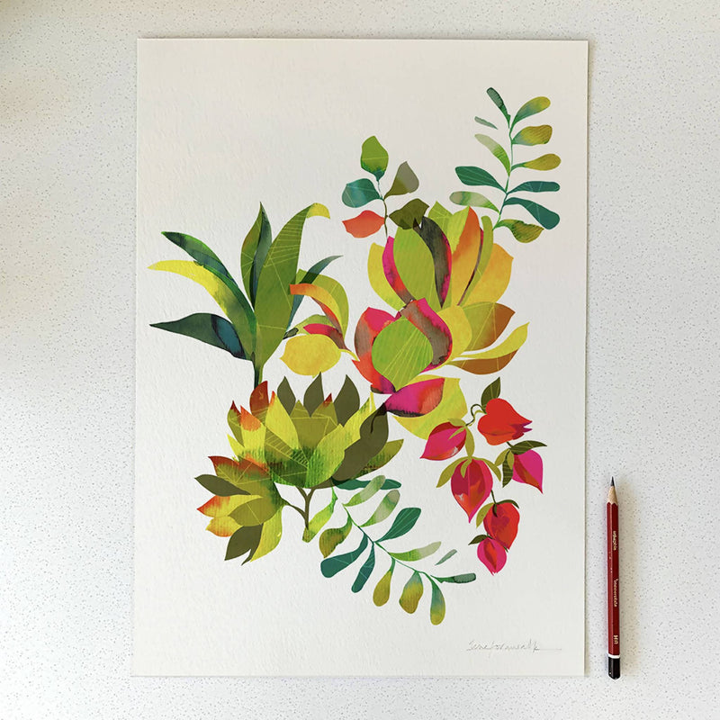 Succulent Limited Edition Print
