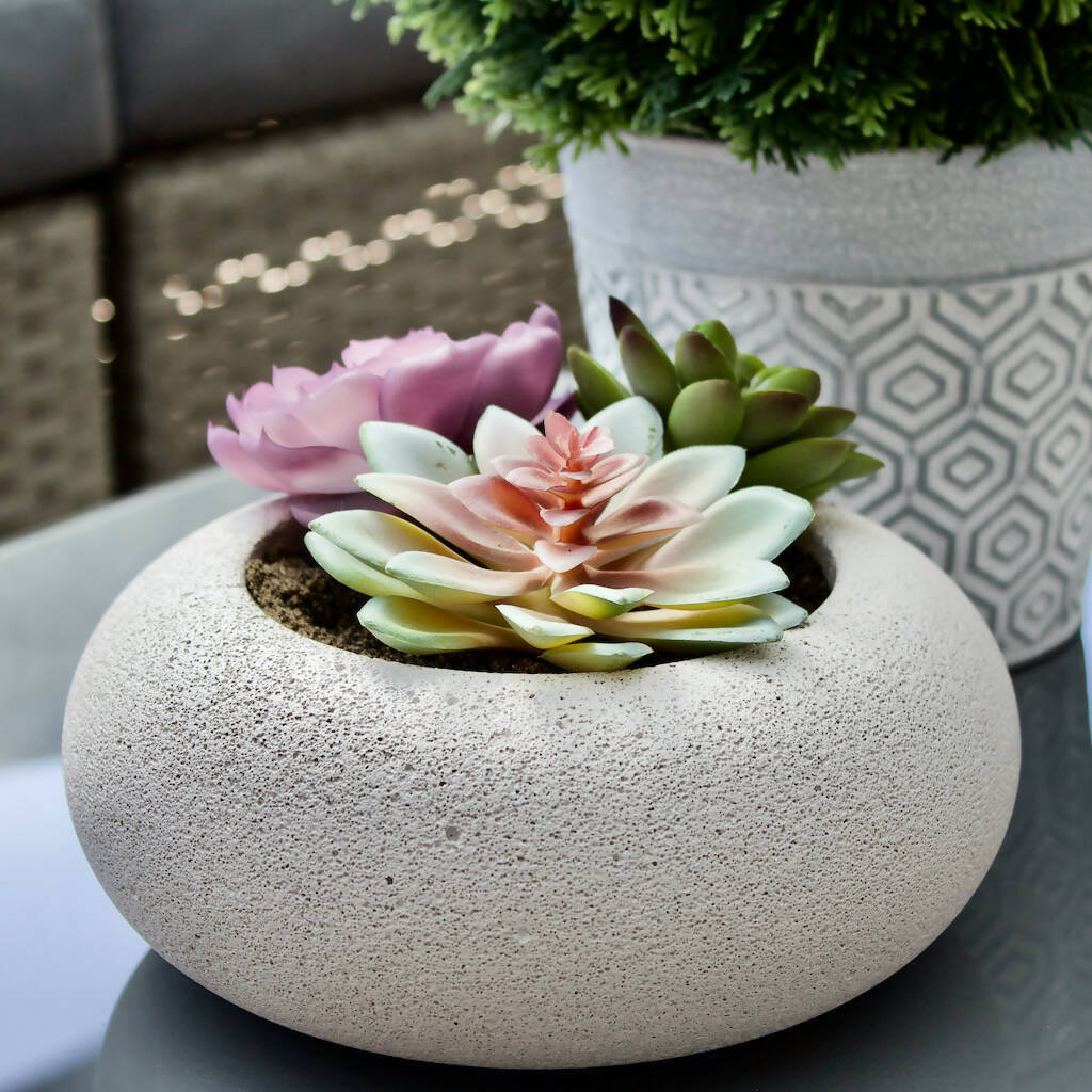 Planter for Succulents and Cacti