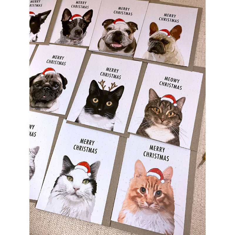 Pet Lover Pack of 12 Mixed Eco Friendly Recycled Paper Christmas Cards Plus Bonus 4 Christmas Gift Tags