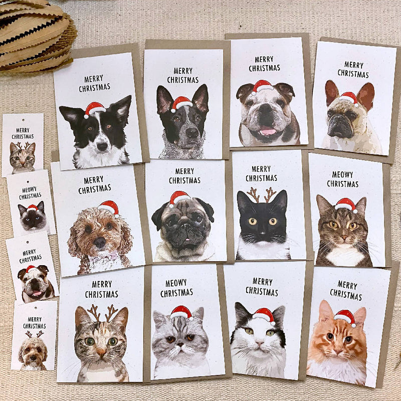 Pet Lover Pack of 12 Mixed Eco Friendly Recycled Paper Christmas Cards Plus Bonus 4 Christmas Gift Tags