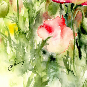 Poppies, prints, Watercolor print, Watercolor flowers, Botanical print, Watercolour painting, floral art