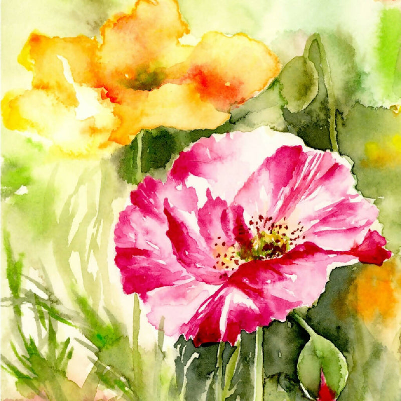 Poppies, prints, Watercolor print, Watercolor flowers, Botanical print, Watercolour painting, floral art