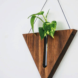 Triangular wall planter / Propagation station