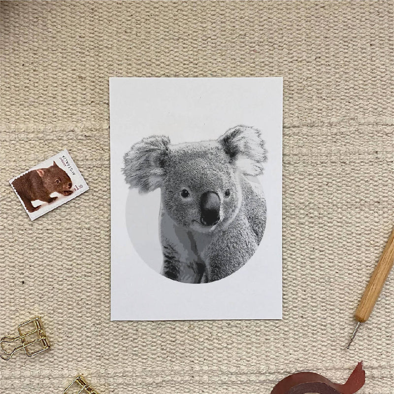 Australian wildlife Animal Postcards