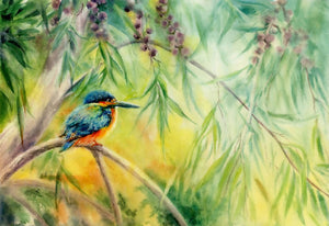 Kingfisher, prints, Watercolor print, Watercolor birds, Botanical print, Watercolour painting, birds, gumtree