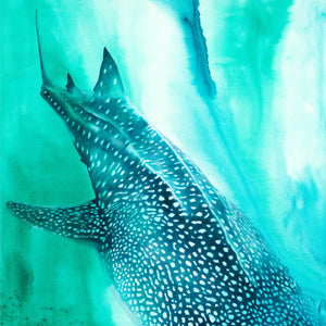 Whale Shark FINE ART PRINT