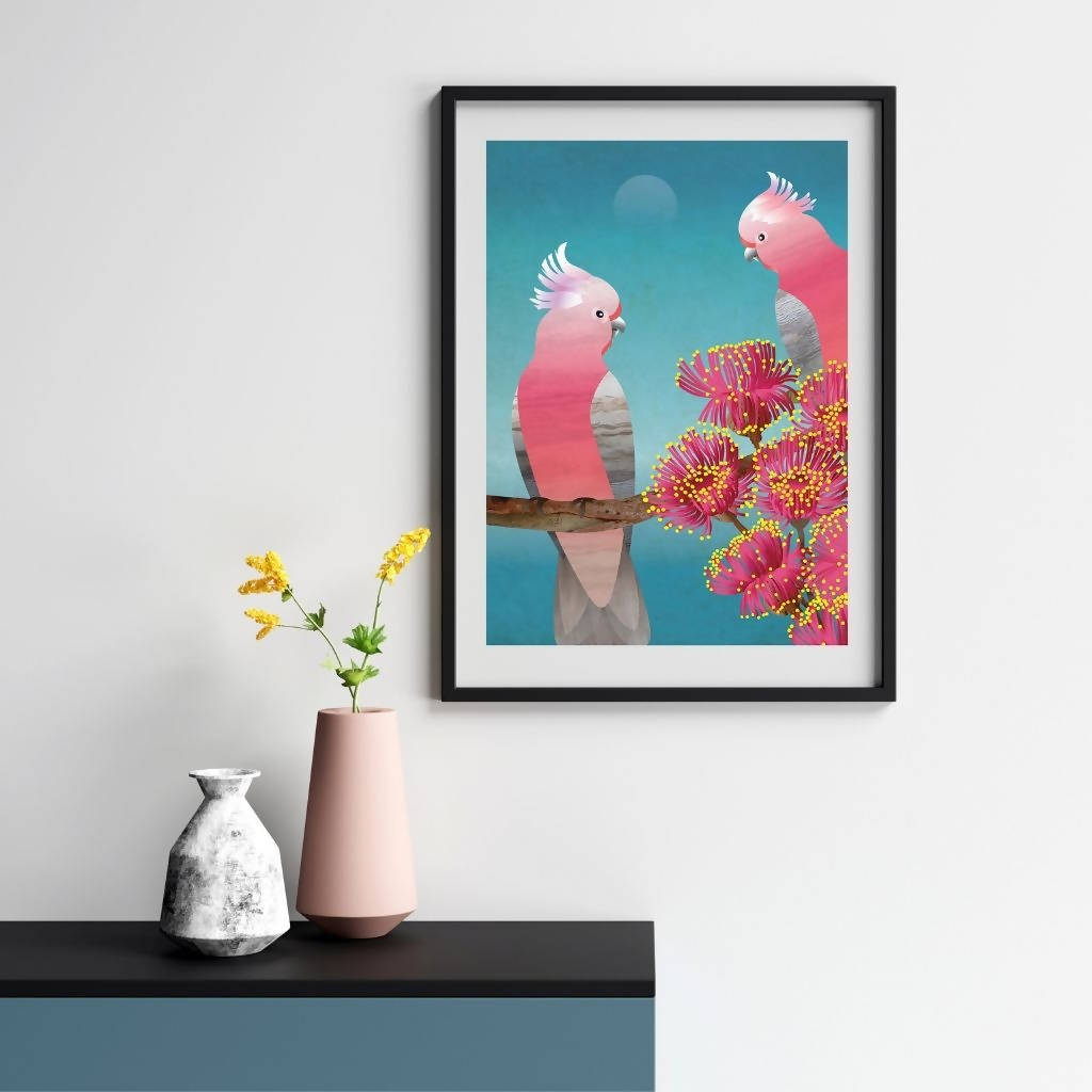 Blossoming Galahs - Limited Edition Fine Art Print