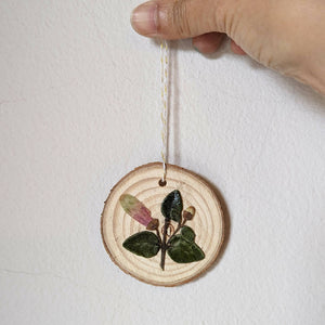 DIY Kit - Pressed Flower Art with Bauble or Ornaments (optional) | Corporate Gifting