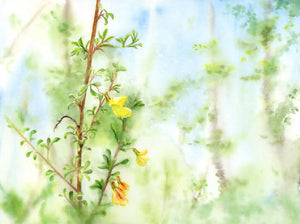 Spring, prints, Watercolor print, Watercolor flowers, Botanical print, Watercolour painting, floral art