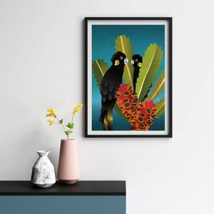 Peekaboo I See You Black Cockatoo - Limited Edition Fine Art Print