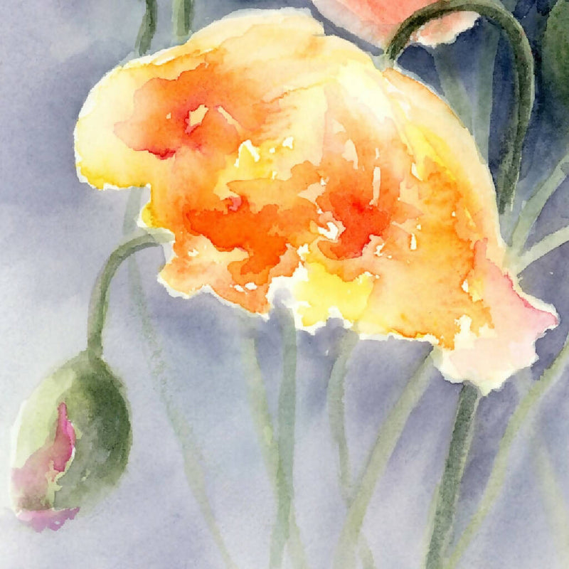Dreamy Poppies, prints, Watercolor print, Watercolor flowers, Botanical print, Watercolour painting, floral art