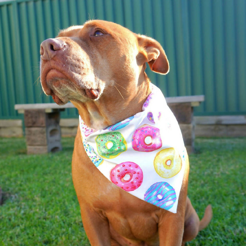 Handmade Dog Bandana - Glazed Donuts - Heavy Duty