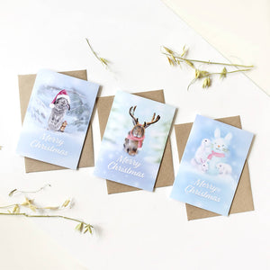 Bunny Christmas Cards (Pack of 3)
