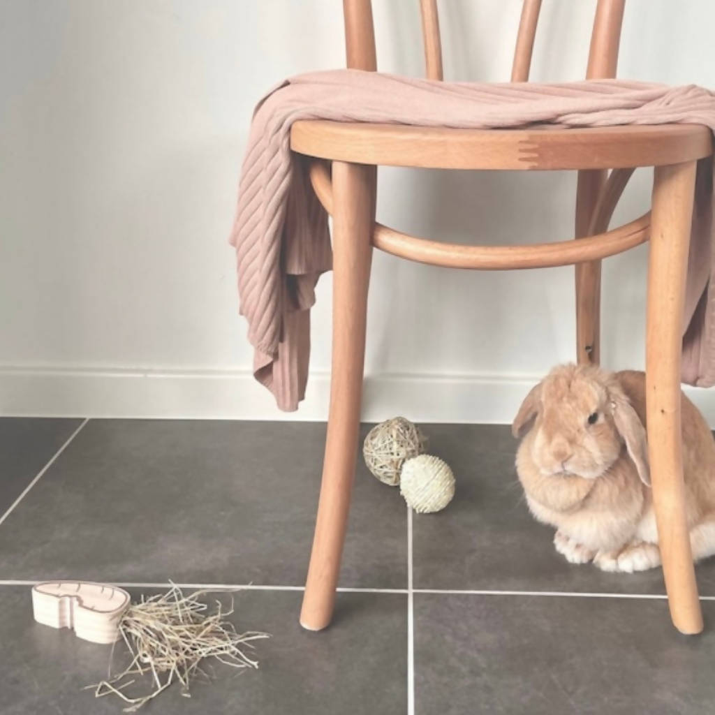 Wooden Carrot Chew, Rabbit Hay And Treat Holder