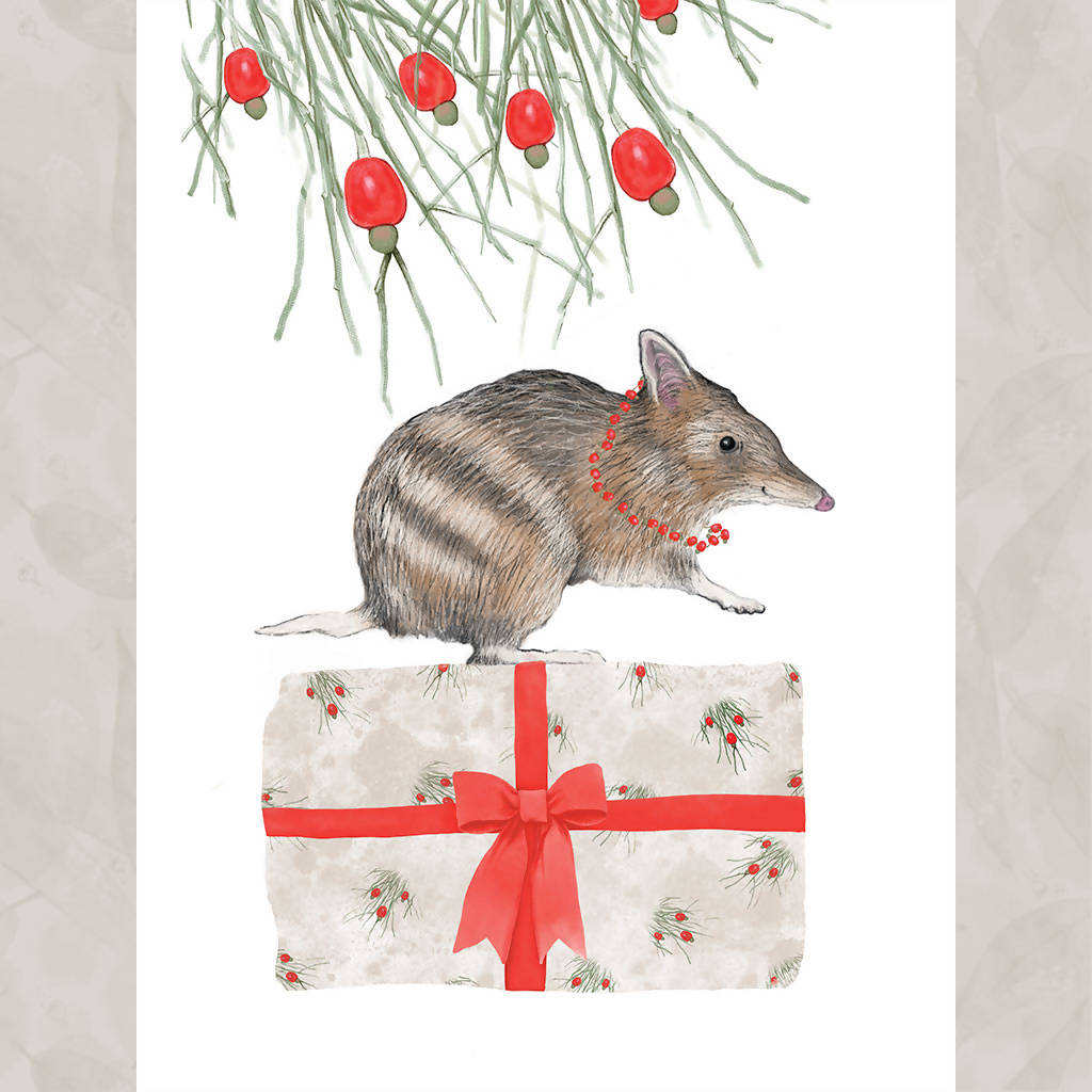 Bandicoot Christmas Card